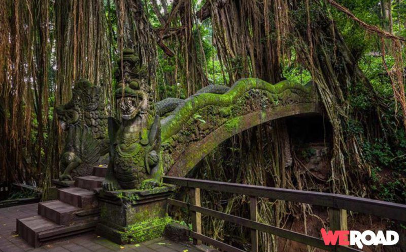Ubud: le sanctuaire de la forêt sacrée des singes