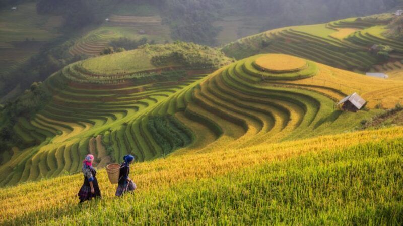 Que voir au Vietnam : les lieux incontournables
