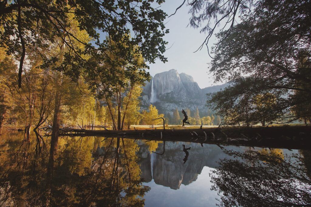 Une vue panoramique du parc national de Yosemite