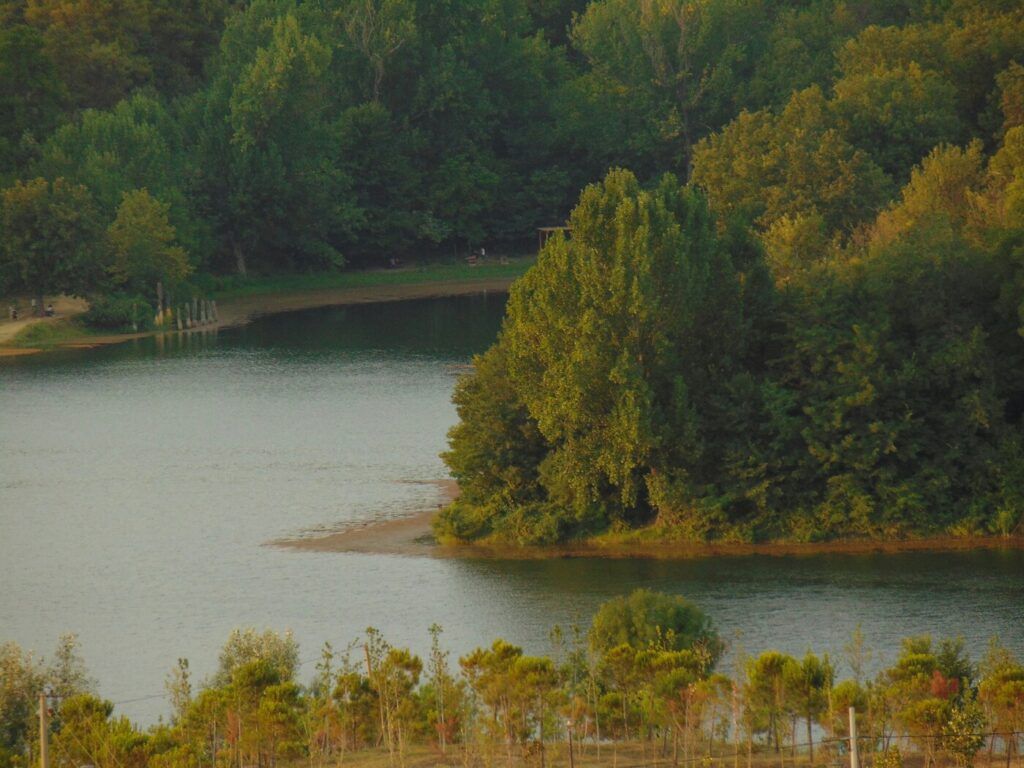 Une rive bordée d'arbres en Albanie