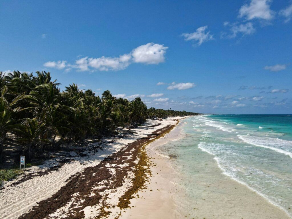 Magnifique plage bordée de palmiers et bordée d'une eau turquoise, caractéristique de Tulum, au Mexique