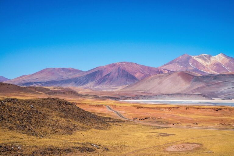 Le Désert d'Atacama au nord du Chili
