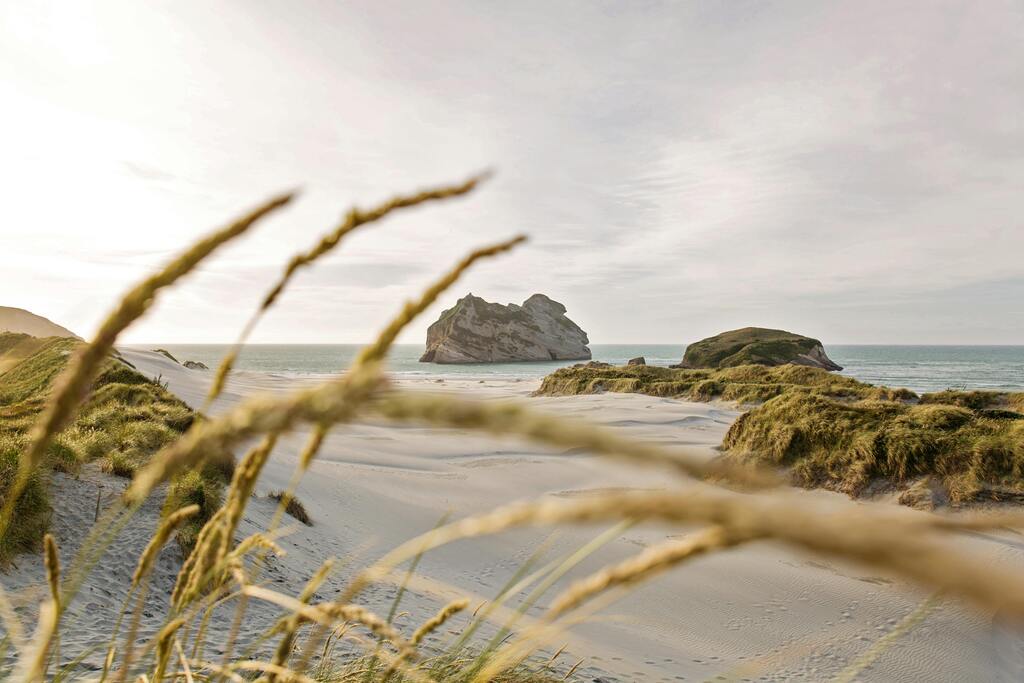 Paysage côtier à Wharariki Beach, Nouvelle-Zélande, avec dunes de sable et formations rocheuses.