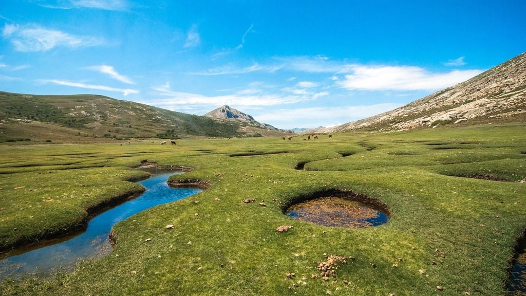Paysage de pozzines dans la région du plateau du Coscione, en Corse du Sud
