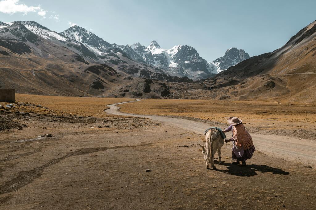 Femme en habit traditionnel marchant avec un âne dans les Andes boliviennes