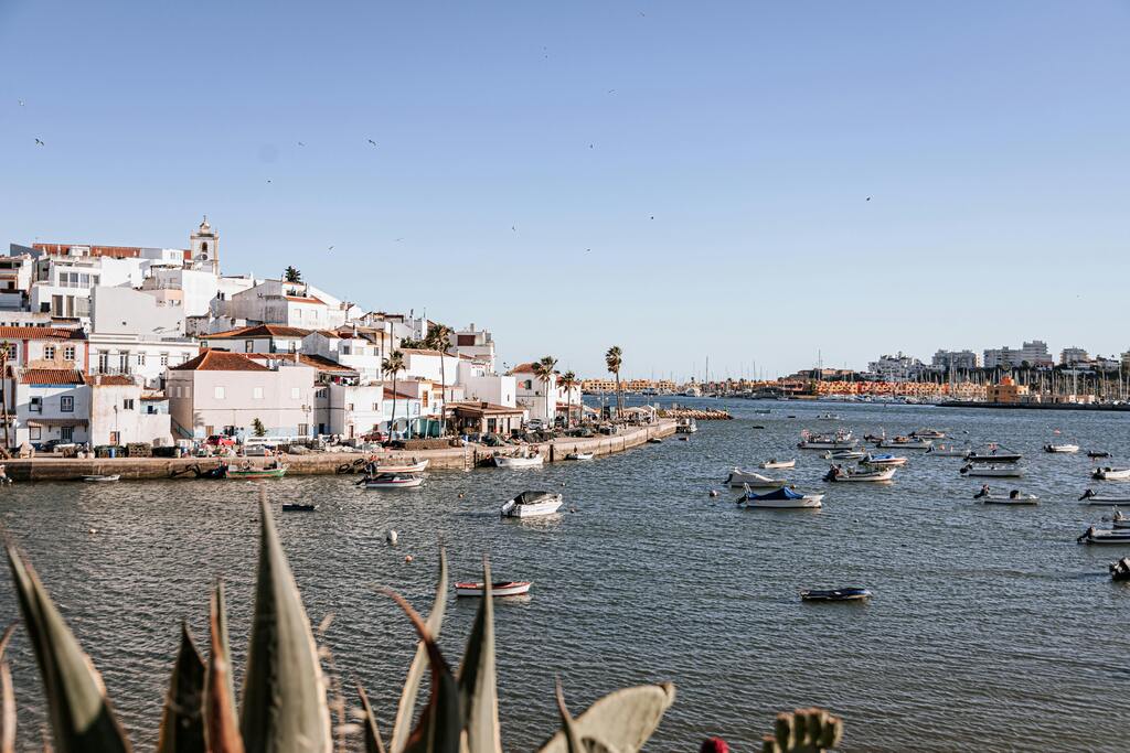 Petit port de pêche traditionnel portugais avec bateaux colorés et maisons blanches au bord de la mer.