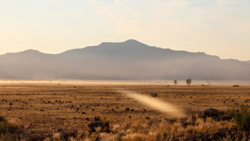Quand partir en Namibie : la meilleure période pour un voyage entre déserts, safaris et paysages grandioses