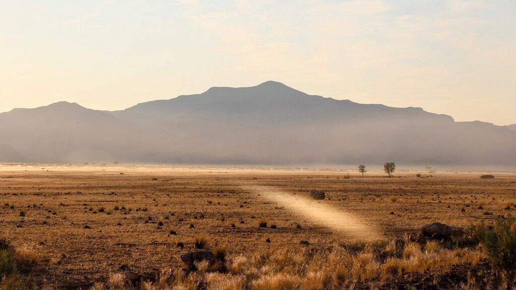 Quand partir en Namibie : la meilleure période pour un voyage entre déserts, safaris et paysages grandioses