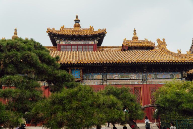 Façade d'un bâtiment traditionnel de la Cité Interdite à Pékin, avec ses murs rouges, son toit en tuiles jaunes, et des pins au premier plan.
