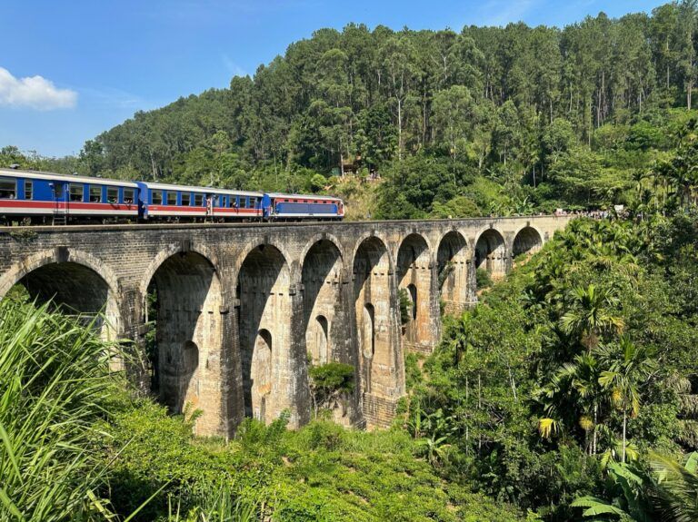 Train traversant le viaduc des Neuf Arches, entouré d'une végétation luxuriante.
