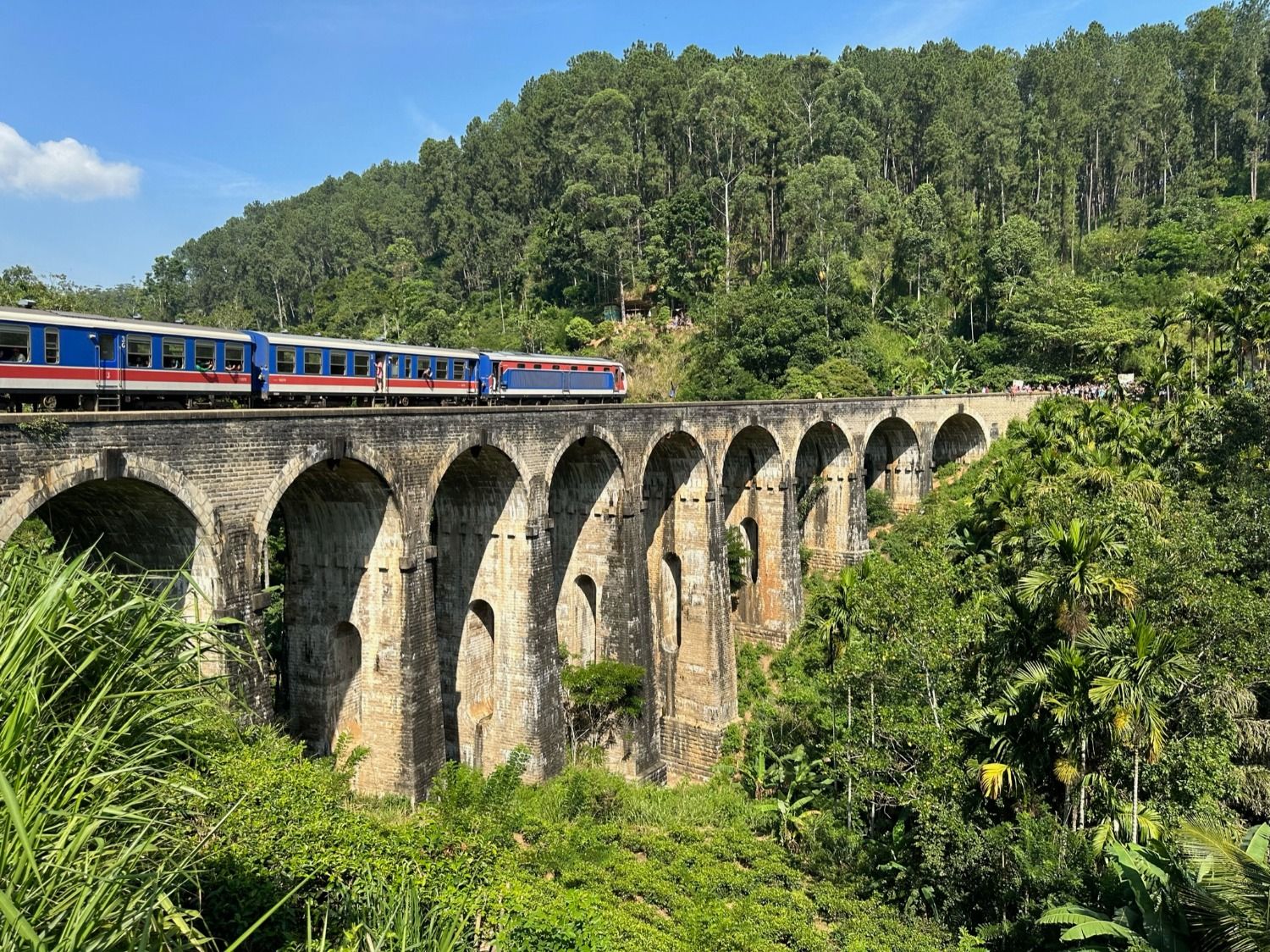 Train traversant le viaduc des Neuf Arches, entouré d'une végétation luxuriante.