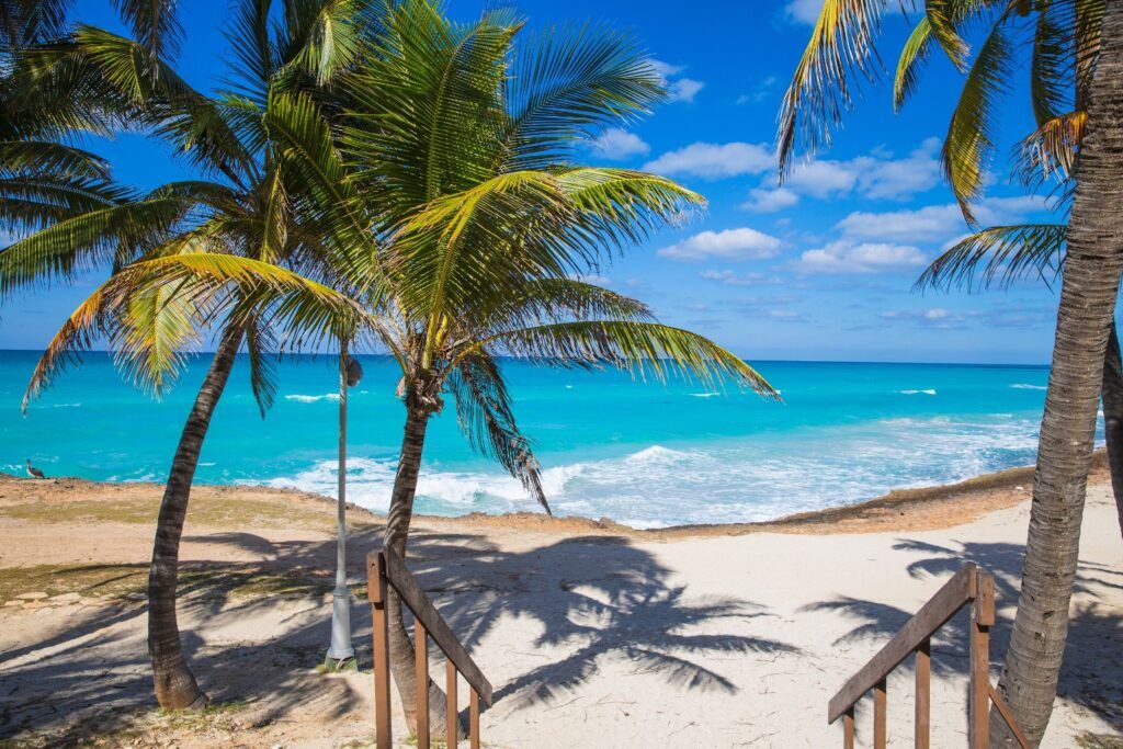 Vue ensoleillée de la plage de Varadero : sable clair, palmiers et mer turquoise intense sous un ciel bleu.