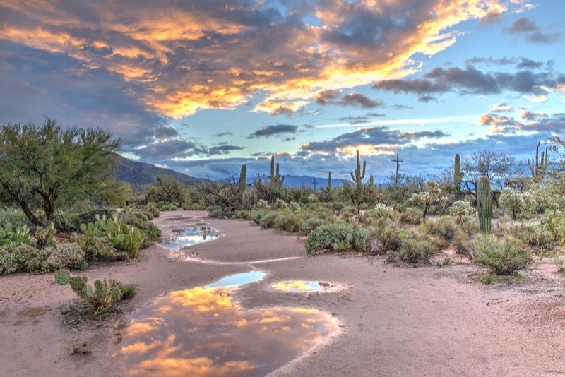 Arizona, sentier desertique avec cactus et nuages au coucher du soleil