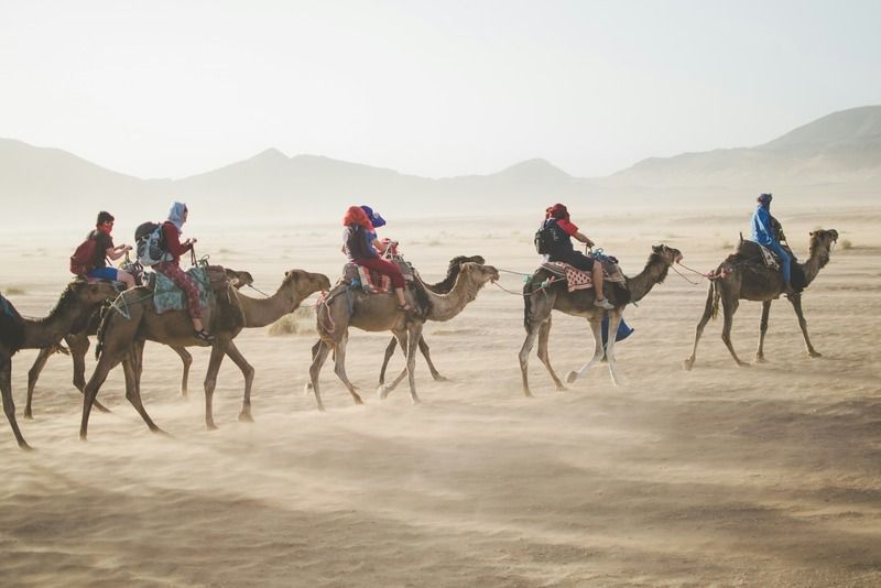 Groupe de voyageurs à dos de chameau traversant un désert de sable sous un ciel brumeux