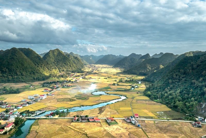 Vue aérienne d'une vallée verdoyante avec des rizières dorées, une rivière sinueuse et des montagnes karstiques sous un ciel nuageux au Vietnam
