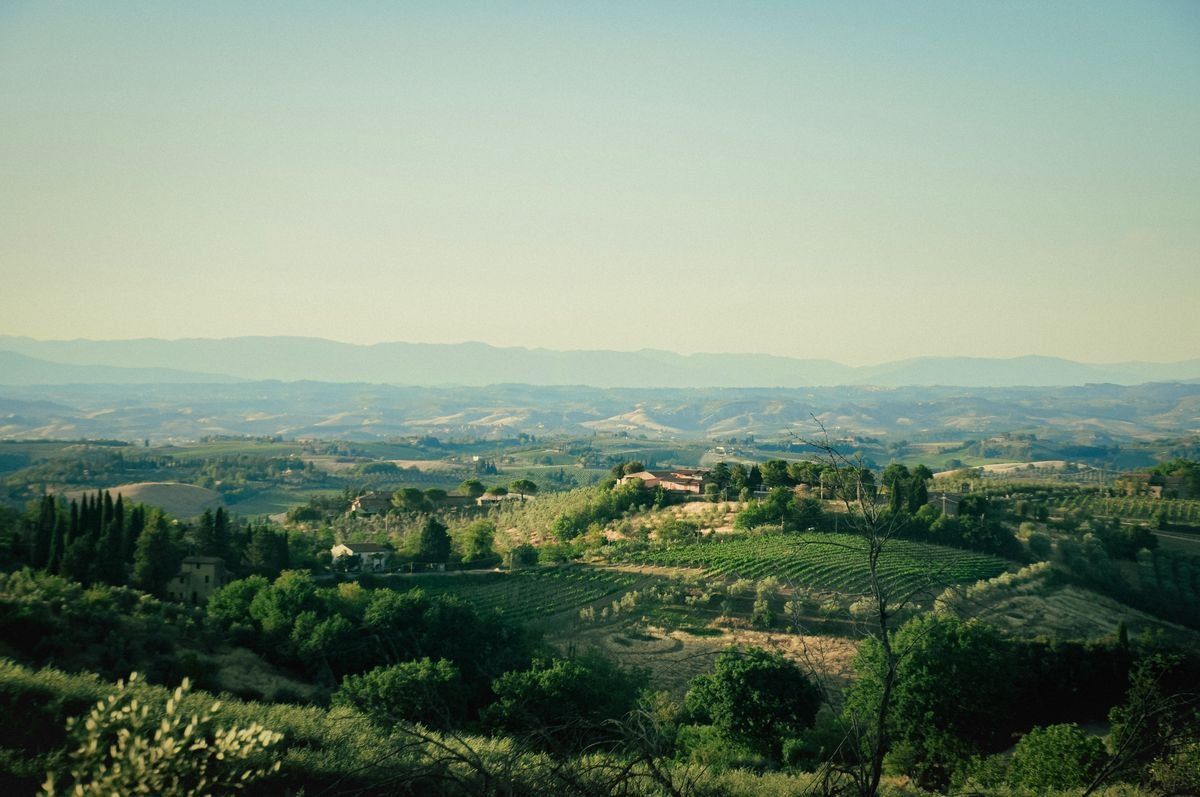 Collines toscanes avec vignobles, cyprès et villas sous un ciel dégagé
