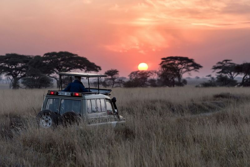 Un jeep de safari avec un guide debout dans le toit ouvrant observe le coucher du soleil sur la savane tanzanienne