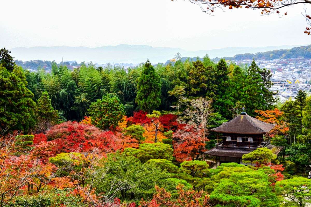 Temple niché parmi des arbres verts et des feuillages rouges sur les hauteurs de Kyoto