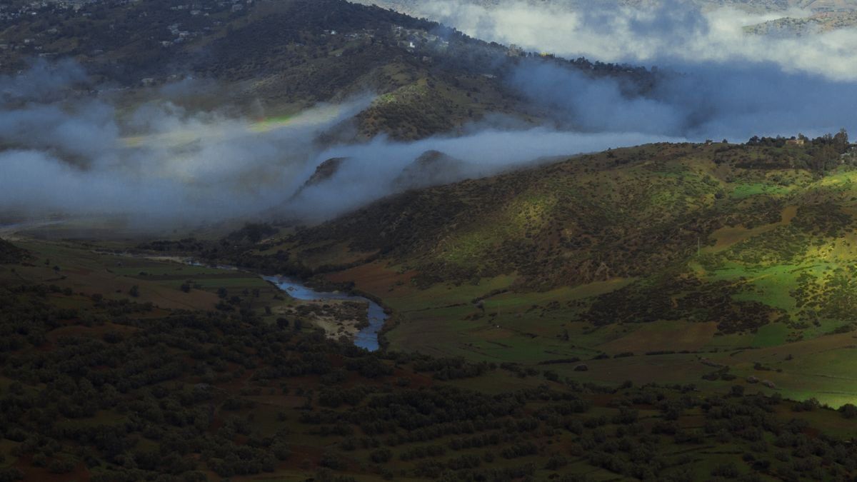 Vallée verdoyante traversée par une rivière, avec brume sur les collines