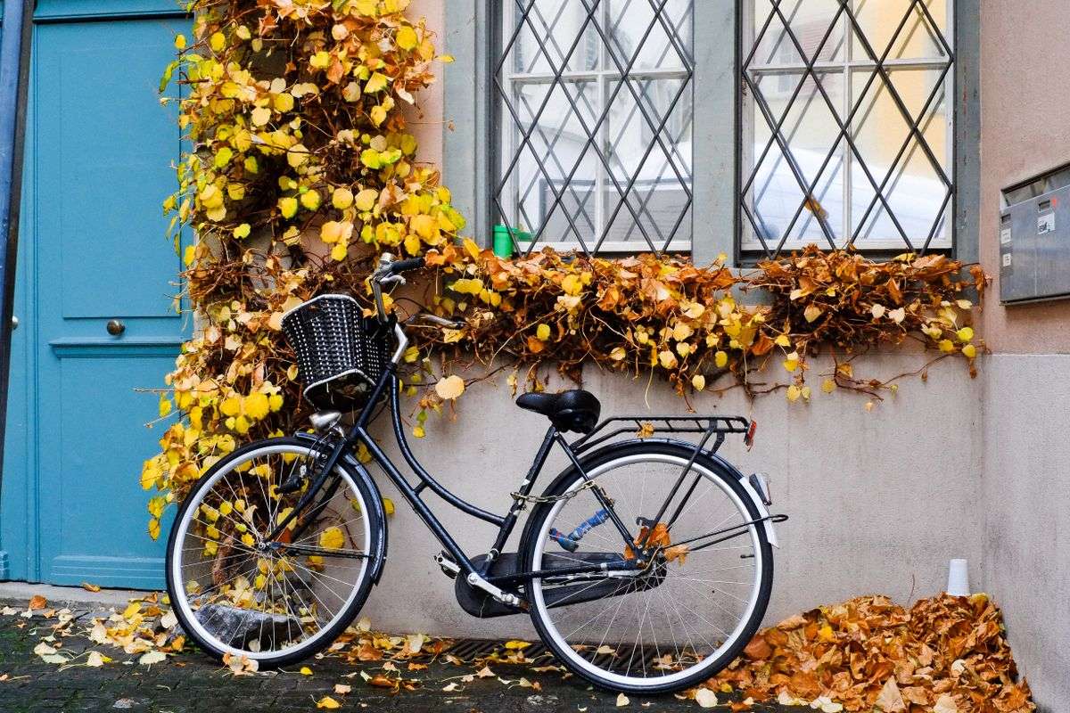 Vélo noir appuyé contre un mur avec feuilles jaunes et fenêtre à croisillons
