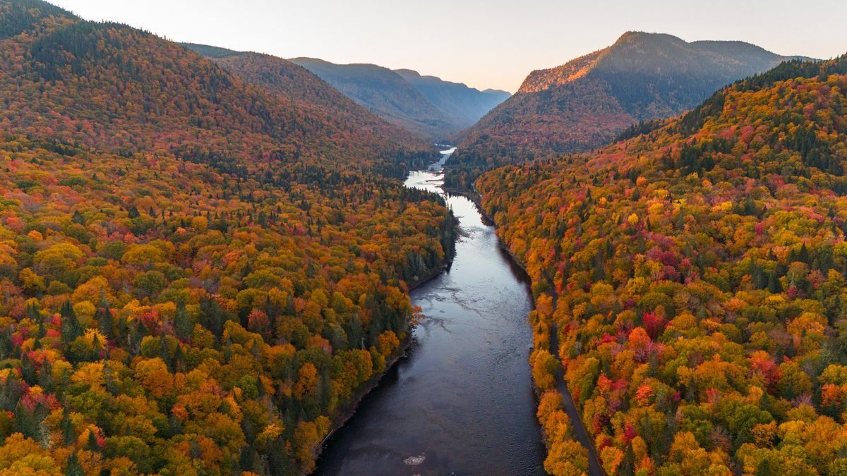 Vue aérienne d’une rivière entre des collines couvertes de forêt aux couleurs d’automne
