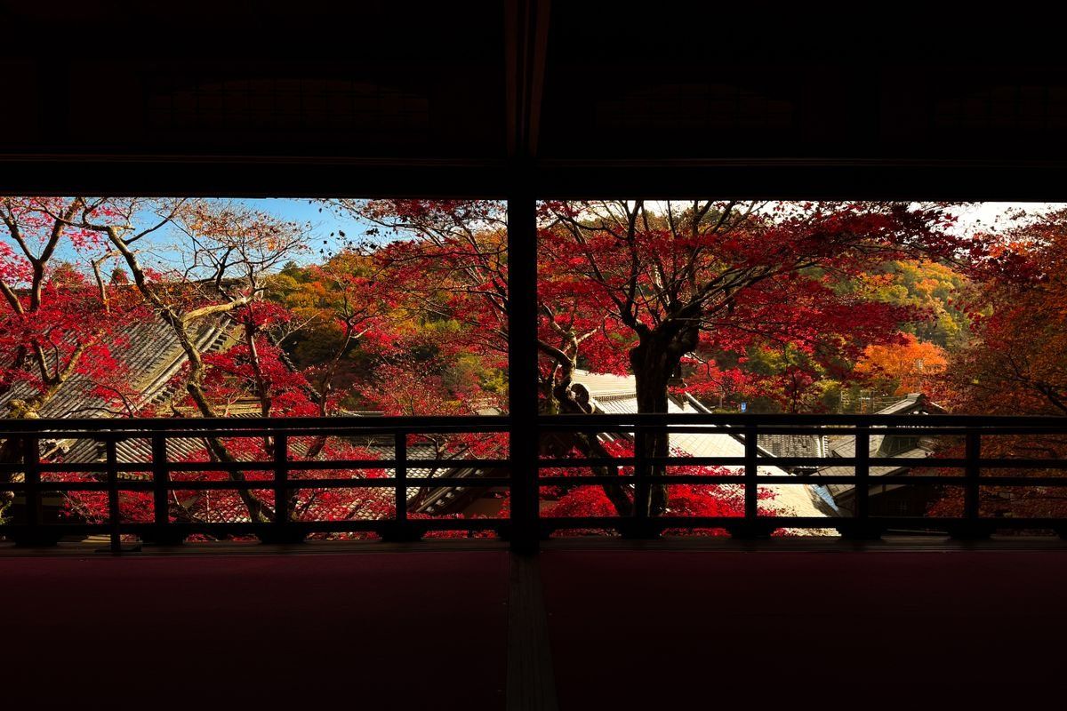 Vue depuis un temple sur des érables rouges et une colline en automne