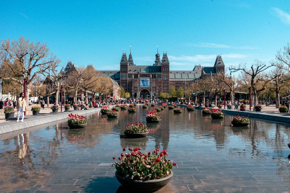 Bassin avec bacs de tulipes devant le Rijksmuseum sous un ciel bleu