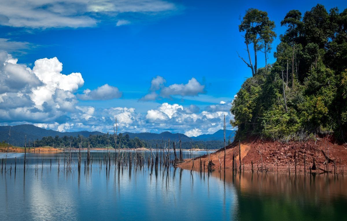 Lac calme bordé de collines boisées avec troncs émergés et ciel bleu nuageux