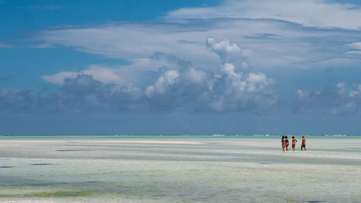 Petit groupe marchant sur un rivage tropical sous un vaste ciel bleu nuageux
