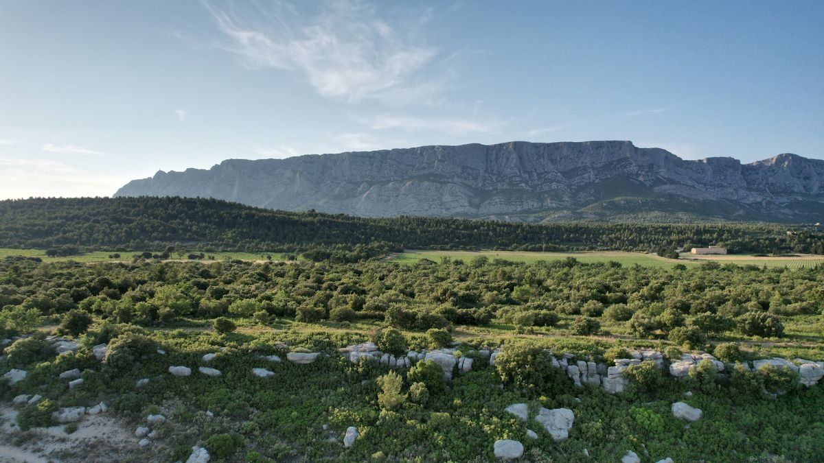 Plaine verte et rocheuse au pied d’une longue montagne sous ciel dégagé